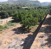 Grundstück in Oliva - 28.000,00&nbsp;EUR Kaufpreis, ca.&nbsp; 0,00&nbsp;m&sup2; in Oliva (PLZ: )