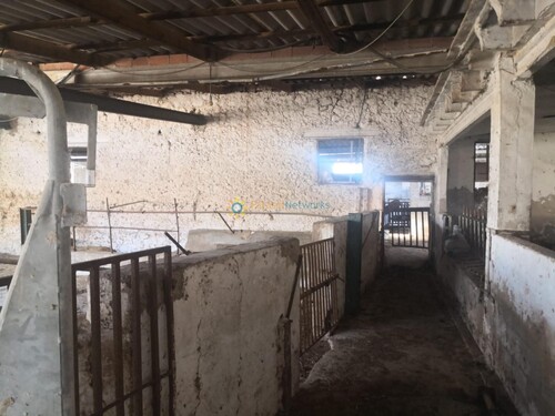 Foto - Finca, Strandhaus zum Kaufen in Bellreguard