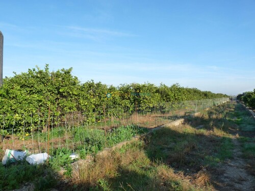 Foto - Grundstück in Oliva zum Kaufen
