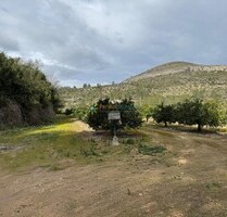 Grundstück in Beniganim - 29.000,00&nbsp;EUR Kaufpreis, ca.&nbsp; 0,00&nbsp;m&sup2; in Beniganim (PLZ: )