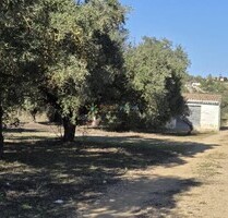 Villa in Beniganim - 68.000,00&nbsp;EUR Kaufpreis, ca.&nbsp; 52,00&nbsp;m&sup2; in Beniganim (PLZ: )