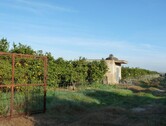 Foto - Grundstück zum Kaufen in Oliva