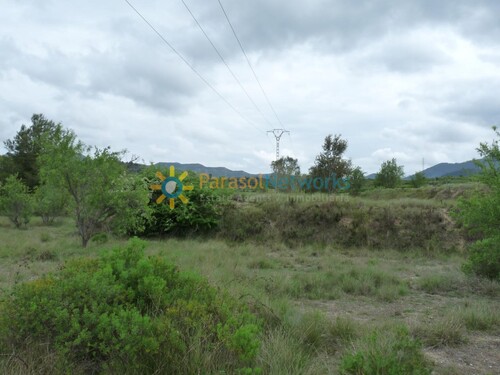 Foto - 