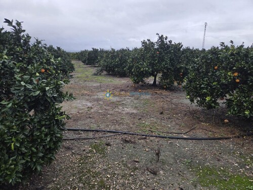 Foto - Grundstück in Senyera - 8.000,00&nbsp;EUR Kaufpreis, ca.&nbsp; 0,00&nbsp;m&sup2;