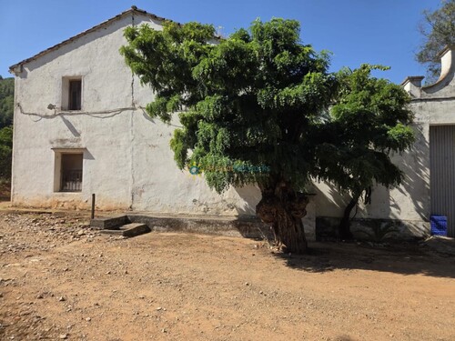 Foto - Villa in Alzira