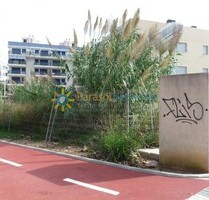 Grundstück in Guardamar De La Safor