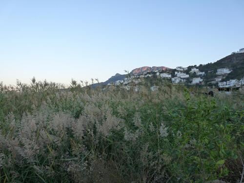 Foto - 