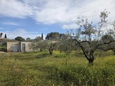 Foto - Grundstück in Beniganim - 42.000,00&nbsp;EUR Kaufpreis, ca.&nbsp; 0,00&nbsp;m&sup2;