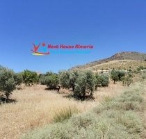 Grundstück in Oria - 39.950,00&nbsp;EUR Kaufpreis, ca.&nbsp; 0,00&nbsp;m&sup2; in Oria (PLZ: )