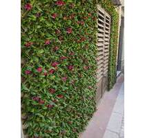 Wohnung in Bisacquino, Palermo - 25.000,00 EUR Kaufpreis, in Bisacquino (PLZ: ) Wohnung in Bisacquino, Palermo - 25.000,00 EUR Kaufpreis, in Bisacquino (PLZ: )