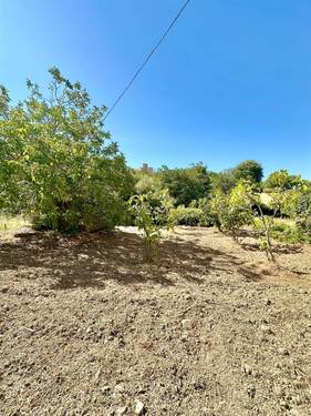 Foto - Grundstück in Chiusa Sclafani zum Kaufen