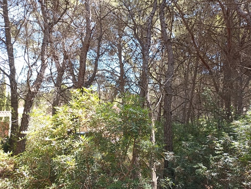 Foto - Grundstück in Moraira zum Kaufen