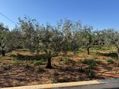 Foto - Finca, Strandhaus in Benissa
