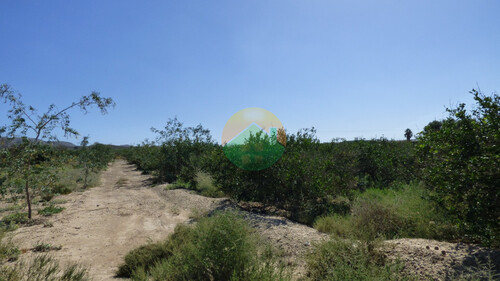 Foto - Grundstück in Alhama De Murcia