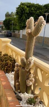 Foto - Einfamilienhaus in Vera zum Kaufen