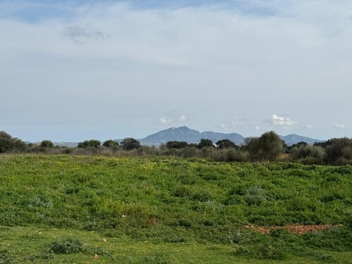 Foto - Bauernhof, Reithof, Weingut in Porreres