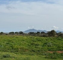 Bauernhof, Reithof, Weingut in Porreres