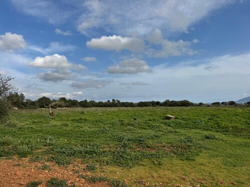 Foto - Bauernhof, Reithof, Weingut in Porreres