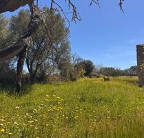 Grundstück in Algaida - 320.000,00&nbsp;EUR Kaufpreis, ca.&nbsp; 0,00&nbsp;m&sup2; in Algaida (PLZ: )