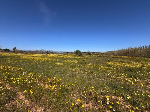 Foto - Grundstück in Algaida - 300.000,00&nbsp;EUR Kaufpreis, ca.&nbsp; 0,00&nbsp;m&sup2;