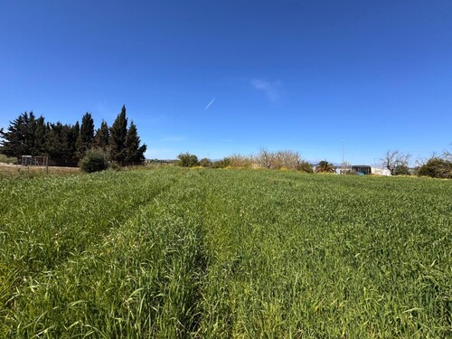 Foto - Grundstück in Montuiri - 195.000,00&nbsp;EUR Kaufpreis, ca.&nbsp; 0,00&nbsp;m&sup2;