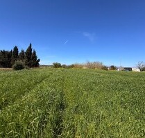 Grundstück in Montuiri - 195.000,00&nbsp;EUR Kaufpreis, ca.&nbsp; 0,00&nbsp;m&sup2; in Montuiri (PLZ: )