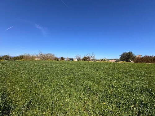 Foto - Grundstück in Montuiri