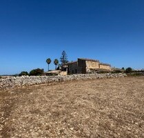 Bauernhof, Reithof, Weingut in Manacor