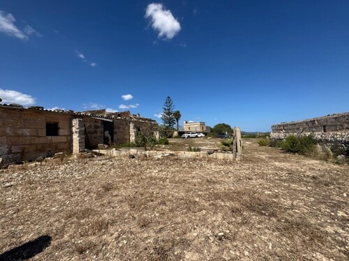 Foto - Bauernhof, Reithof, Weingut in Manacor
