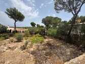 Foto - Grundstück zum Kaufen in El Toro