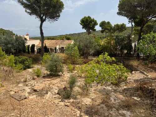 Foto - Grundstück in El Toro