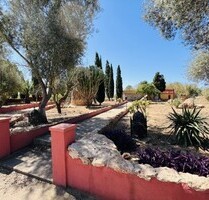 Bauernhof, Reithof, Weingut in Algaida