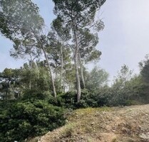 Grundstück in Cala Vinyes - 1.500.000,00&nbsp;EUR Kaufpreis, ca.&nbsp; 0,00&nbsp;m&sup2; in Cala Vinyes (PLZ: )