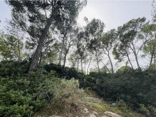 Foto - Grundstück zum Kaufen in Cala Vinyes