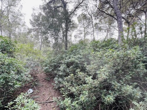 Foto - Grundstück in Cala Vinyes