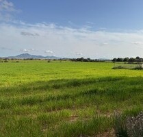 Grundstück in SHorta (Felanitx) - S'Horta (Felanitx)