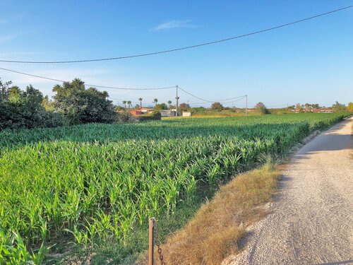 Foto - Grundstück in Dolores - 74.900,00&nbsp;EUR Kaufpreis, ca.&nbsp; 0,00&nbsp;m&sup2;