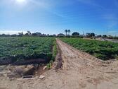 Foto - Grundstück zum Kaufen in Elche pedanias
