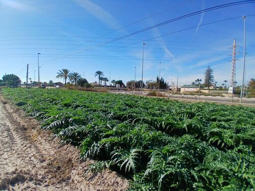 Foto - Grundstück in Elche pedanias zum Kaufen