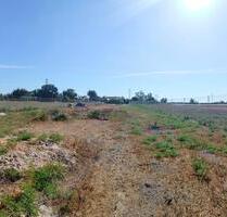 Grundstück in San Fulgencio - 26.500,00 EUR Kaufpreis, ca. 0,00 m² in San Fulgencio (PLZ: ) Grundstück in San Fulgencio - 26.500,00 EUR Kaufpreis, ca. 0,00 m² in San Fulgencio (PLZ: )
