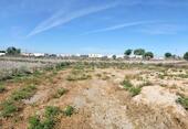 Foto - Grundstück zum Kaufen in San Fulgencio