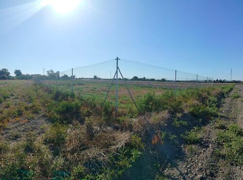 Foto - Grundstück in San Fulgencio zum Kaufen
