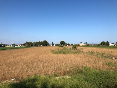 Foto - Grundstück zum Kaufen in Dolores