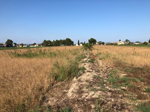 Foto - Grundstück in Dolores zum Kaufen