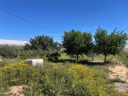 Foto - Einfamilienhaus in El Mirador zum Kaufen