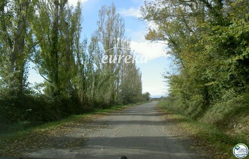 Foto - Finca, Strandhaus in Sant Pere Pescador