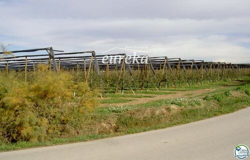Foto - 