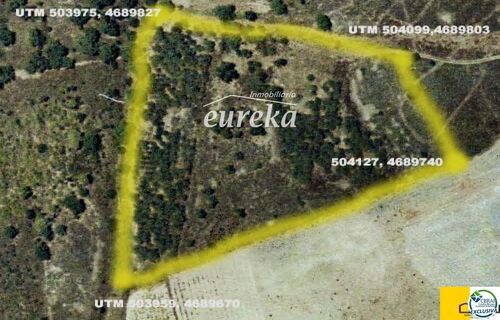 Foto - Finca, Strandhaus zum Kaufen in Garriguella