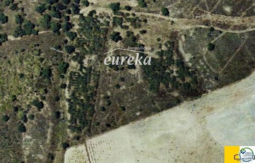 Foto - Finca, Strandhaus in Garriguella