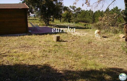 Foto - 